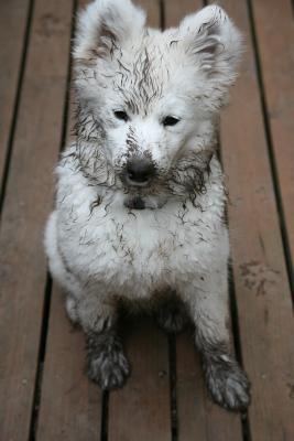 Muddy Nadia
